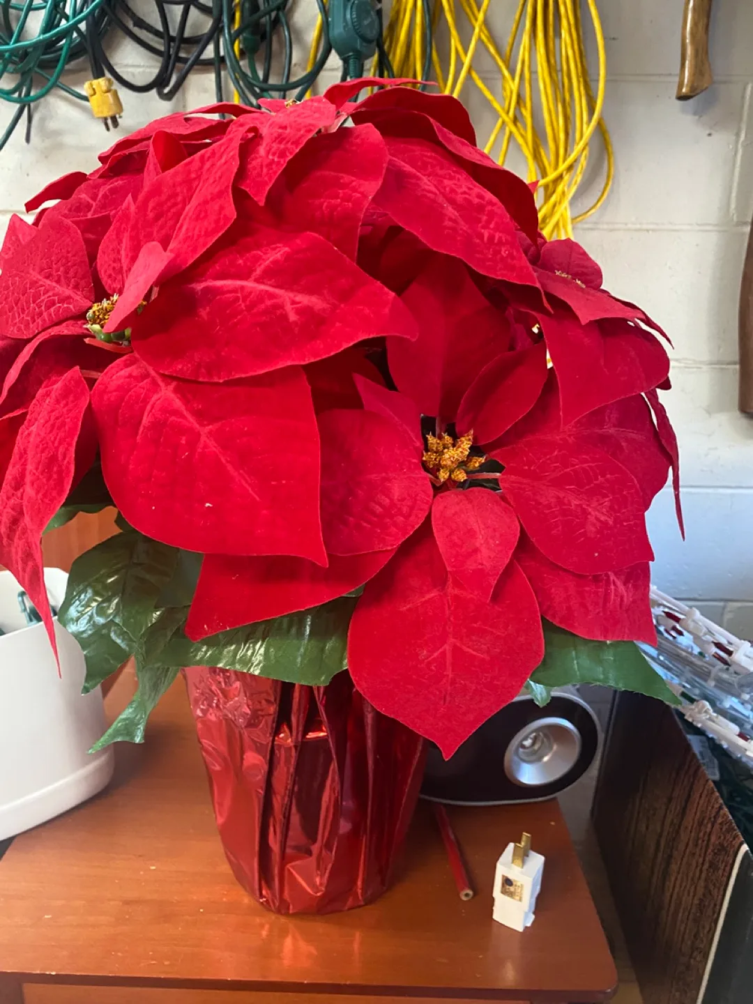 Christmas lights and items image indicator(8)