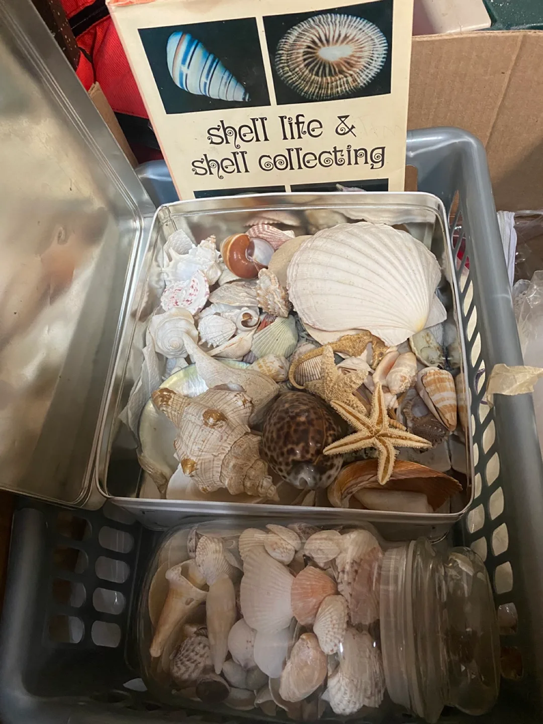 Household items image indicator(3)