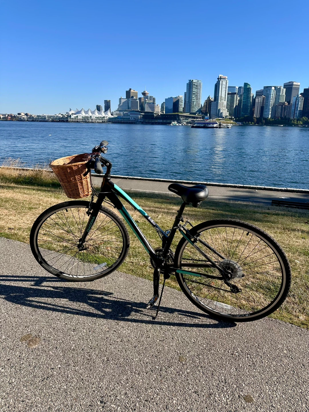 Modena Hybrid Bike with Supercycle Seat