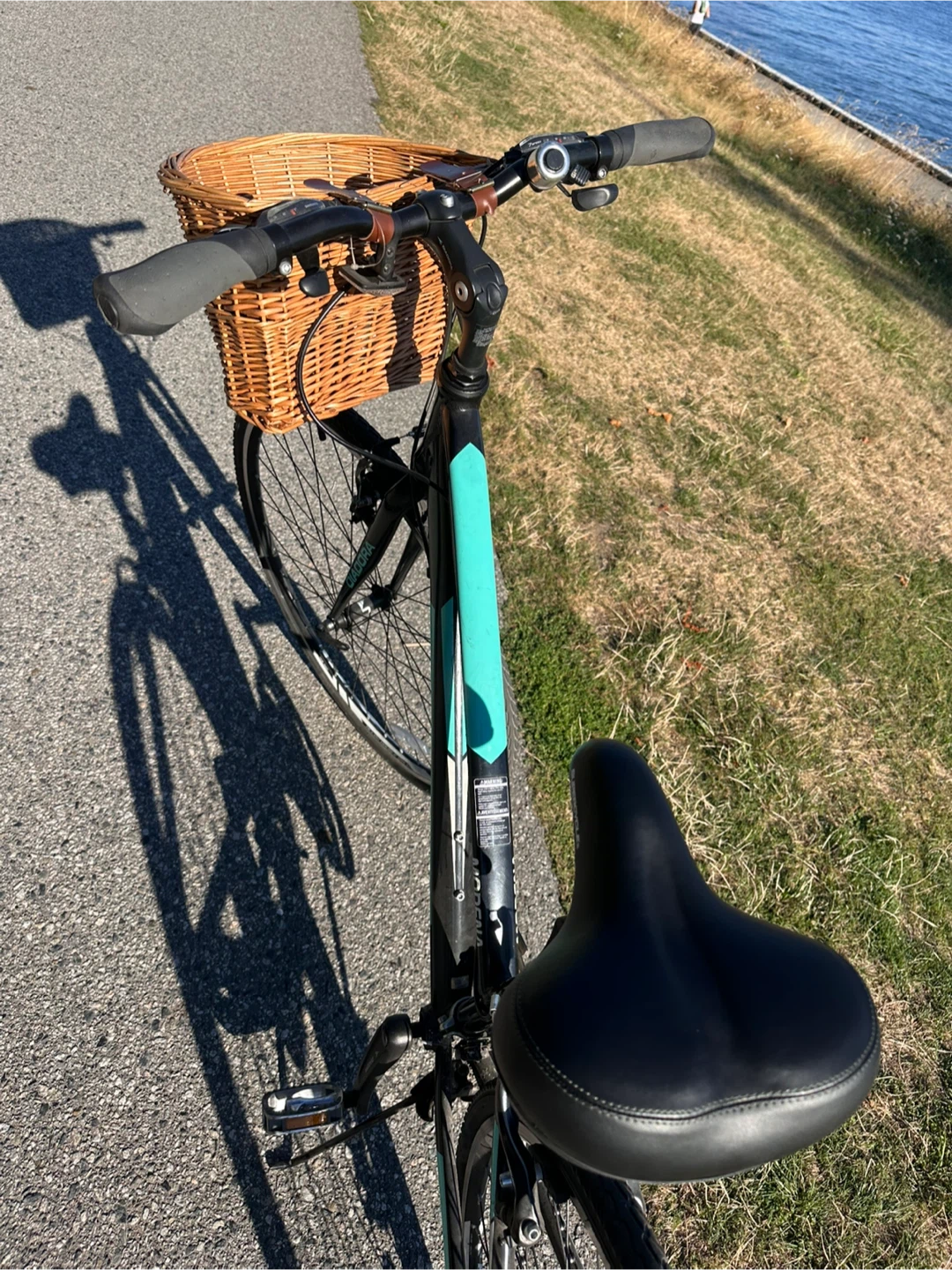 Modena Hybrid Bike with Supercycle Seat - photo 3