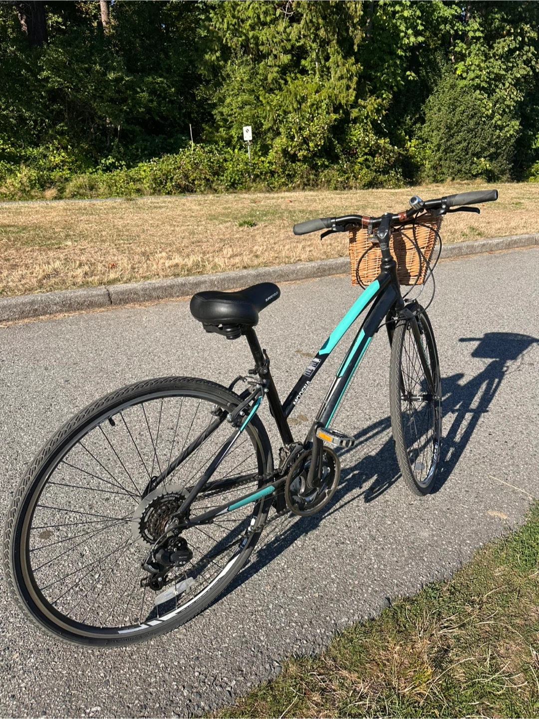 Modena Hybrid Bike with Supercycle Seat - photo 2