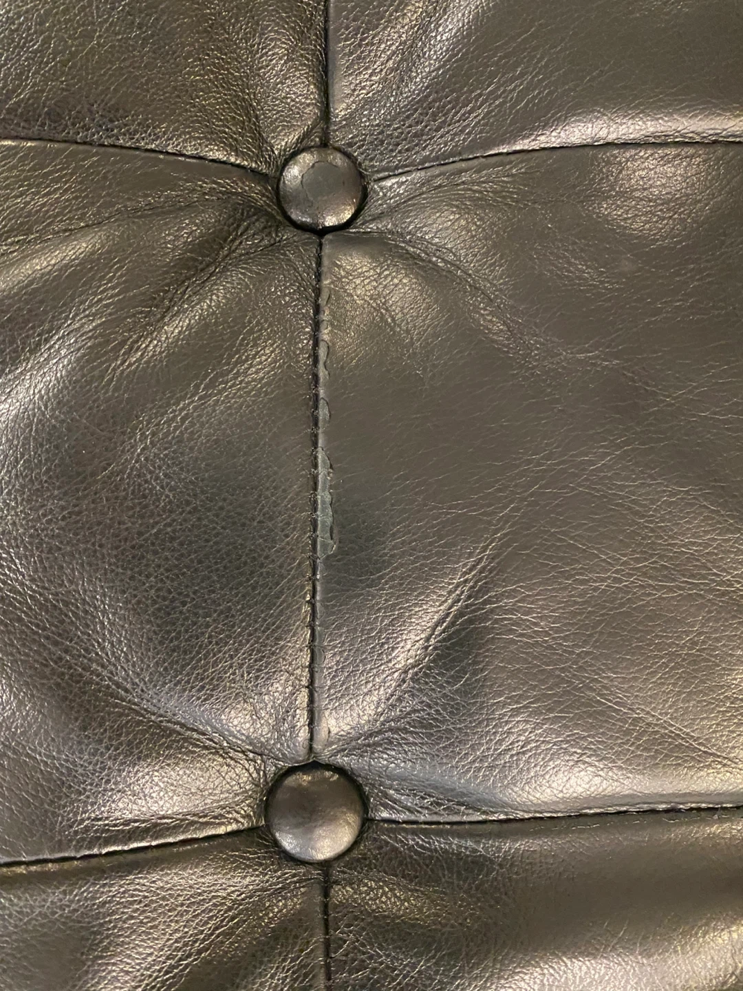 EQ3 Reverie Leather Sofa - Black - photo 4