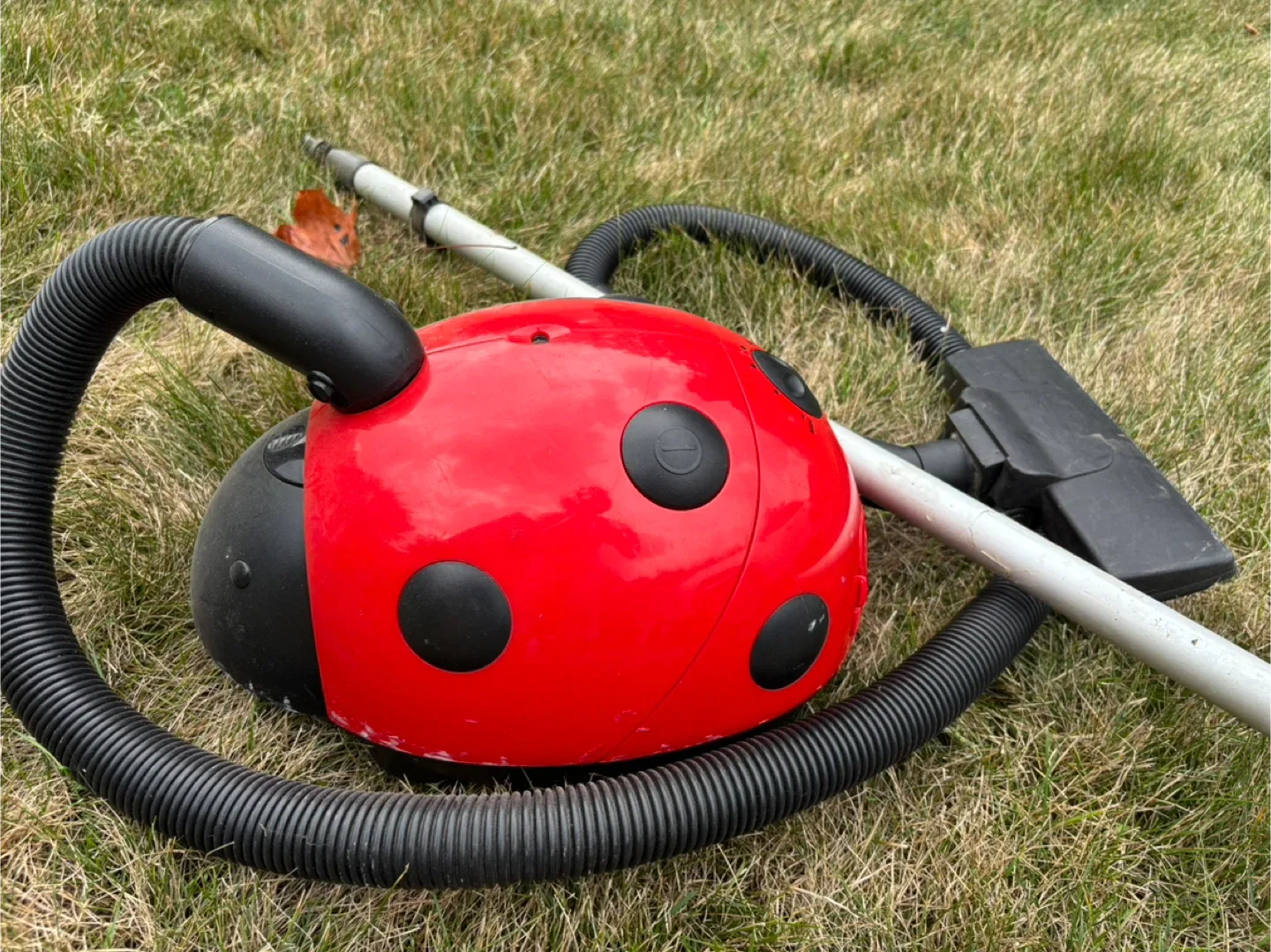 Ladybug Vacuum Cleaner thumbnail