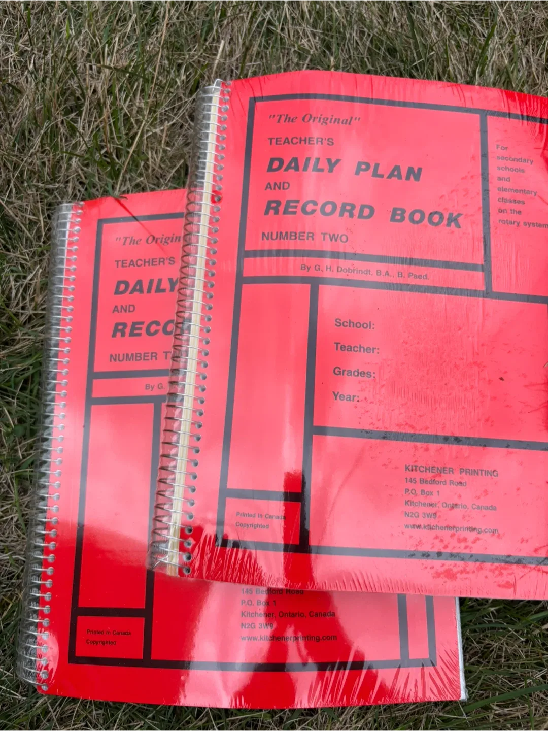 ESSENTIAL Teacher's Daily Plan & Record Books thumbnail