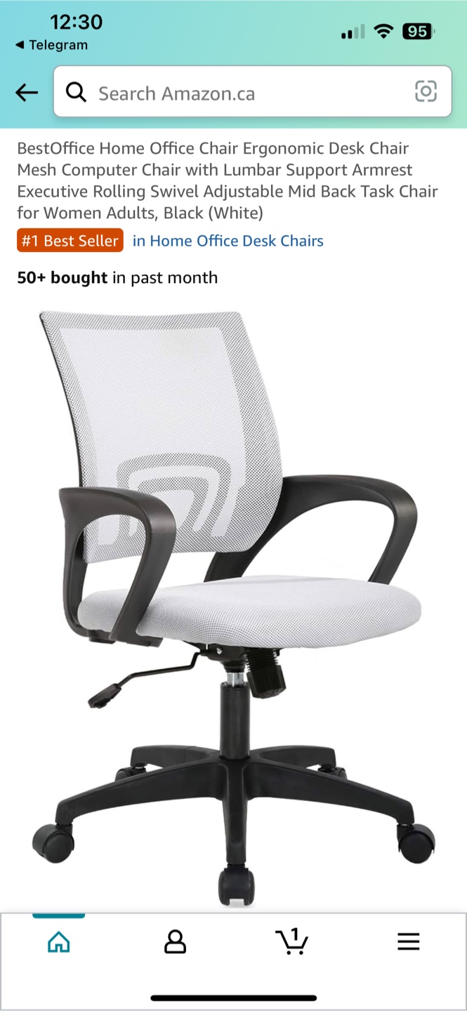 Ergonomic Office Desk Chair - photo 2