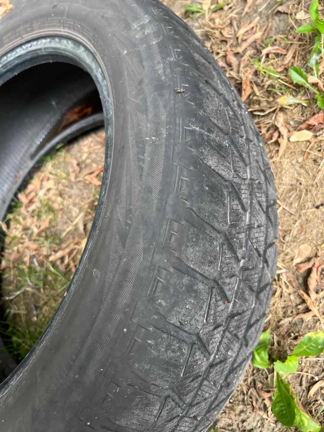 215/55R17 Radial Tubeless Tires - Pair (Winter tires) image indicator(2)