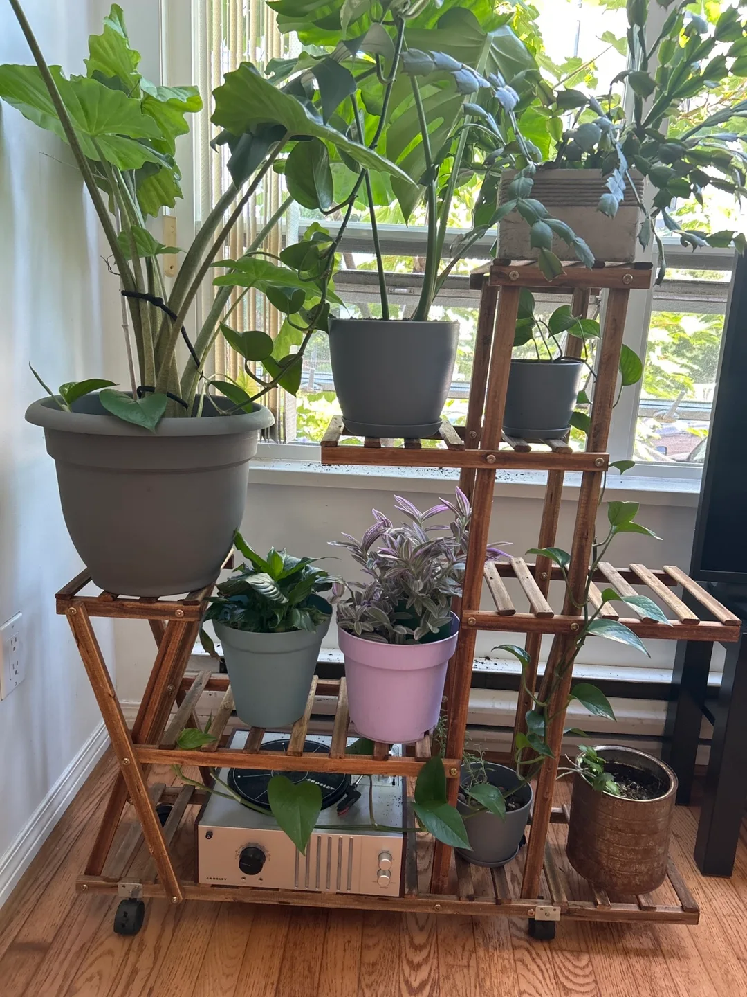 Wooden Plant Stand with Wheels thumbnail