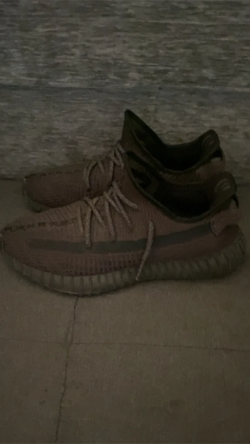 Black Adidas Yeezy 350 image indicator(2)
