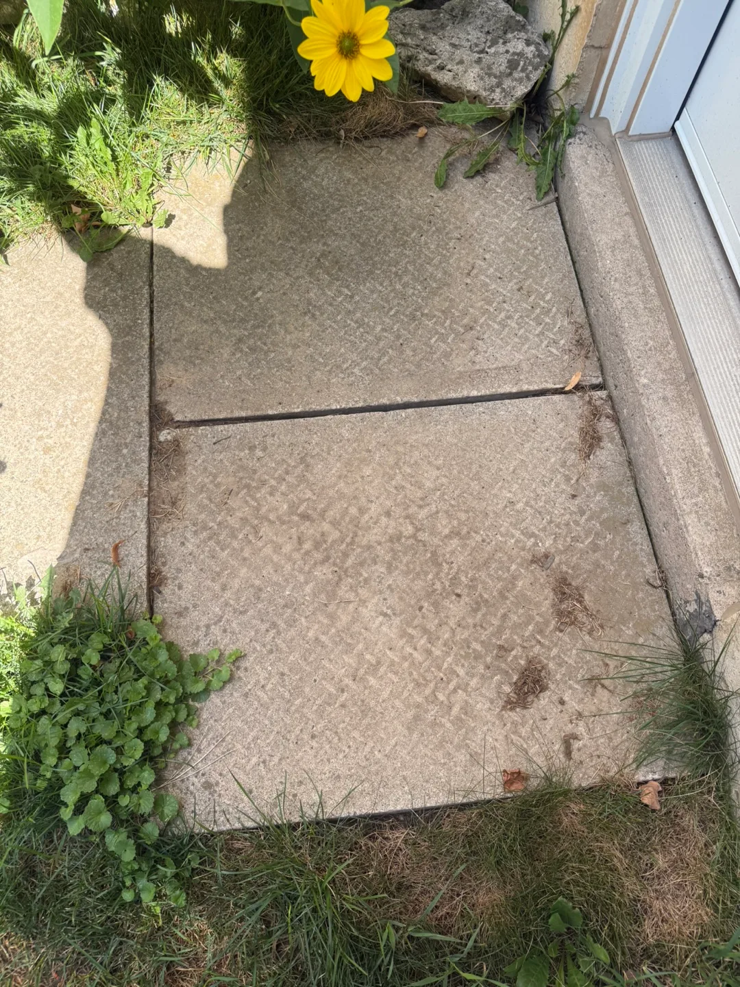 Free patio stones . I just removed and ready to go image indicator(2)
