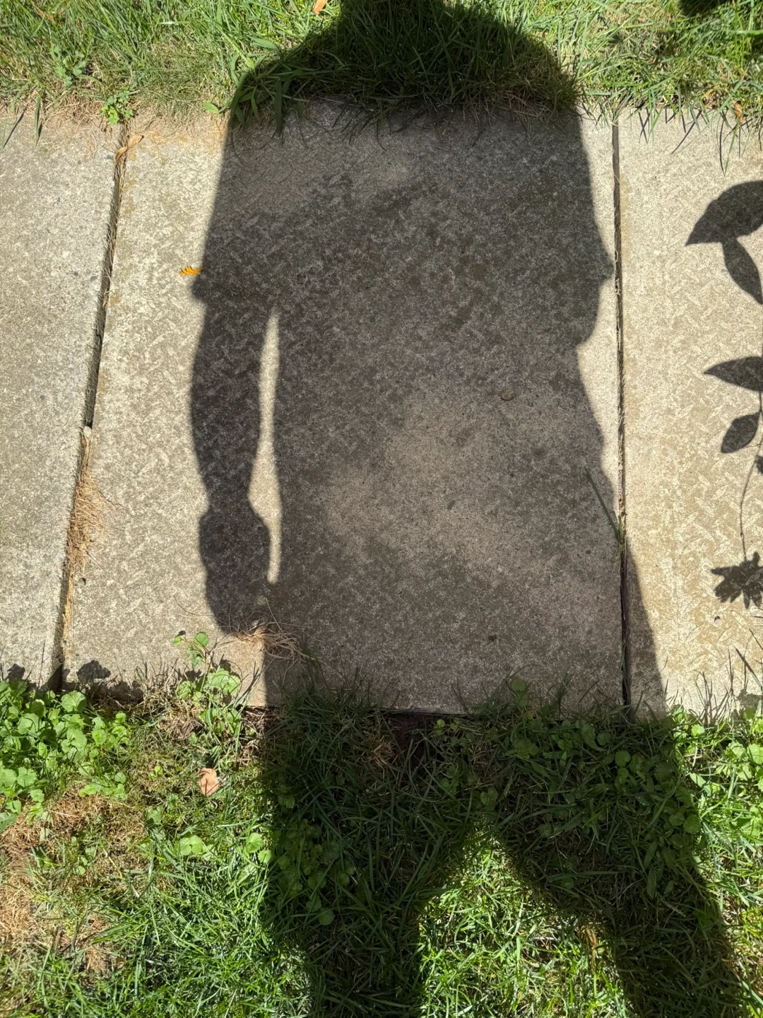 Free patio stones . I just removed and ready to go image indicator(3)