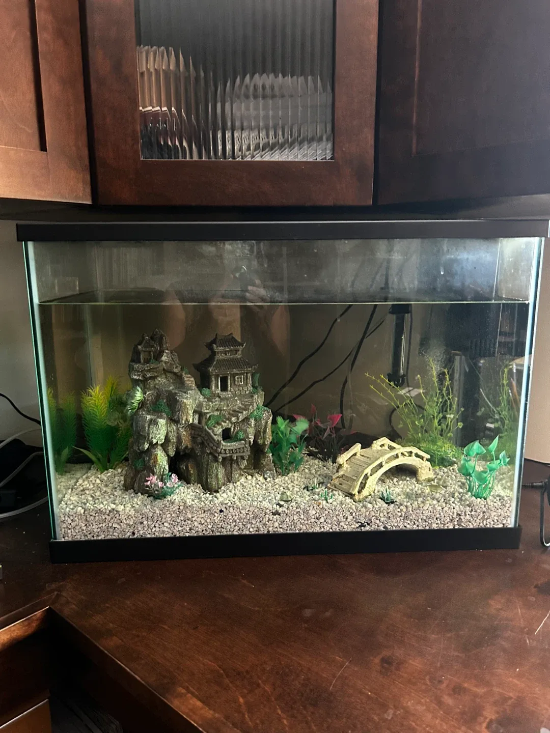 Fish Tank with Accessories thumbnail