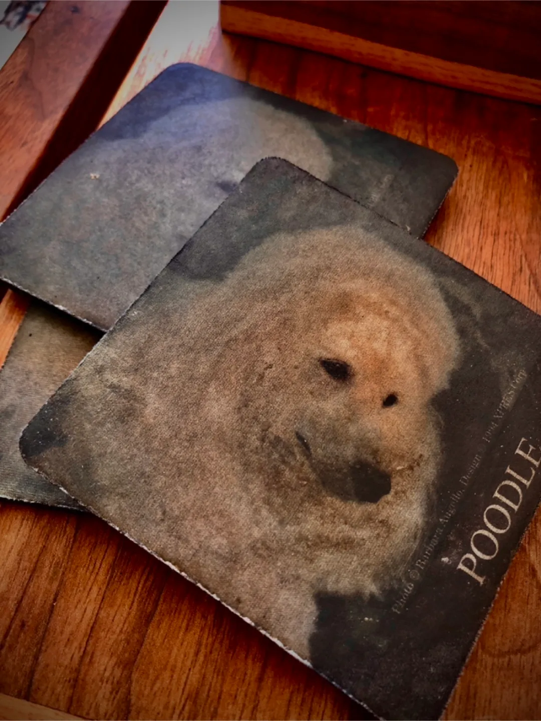 3 Poodle Coasters thumbnail