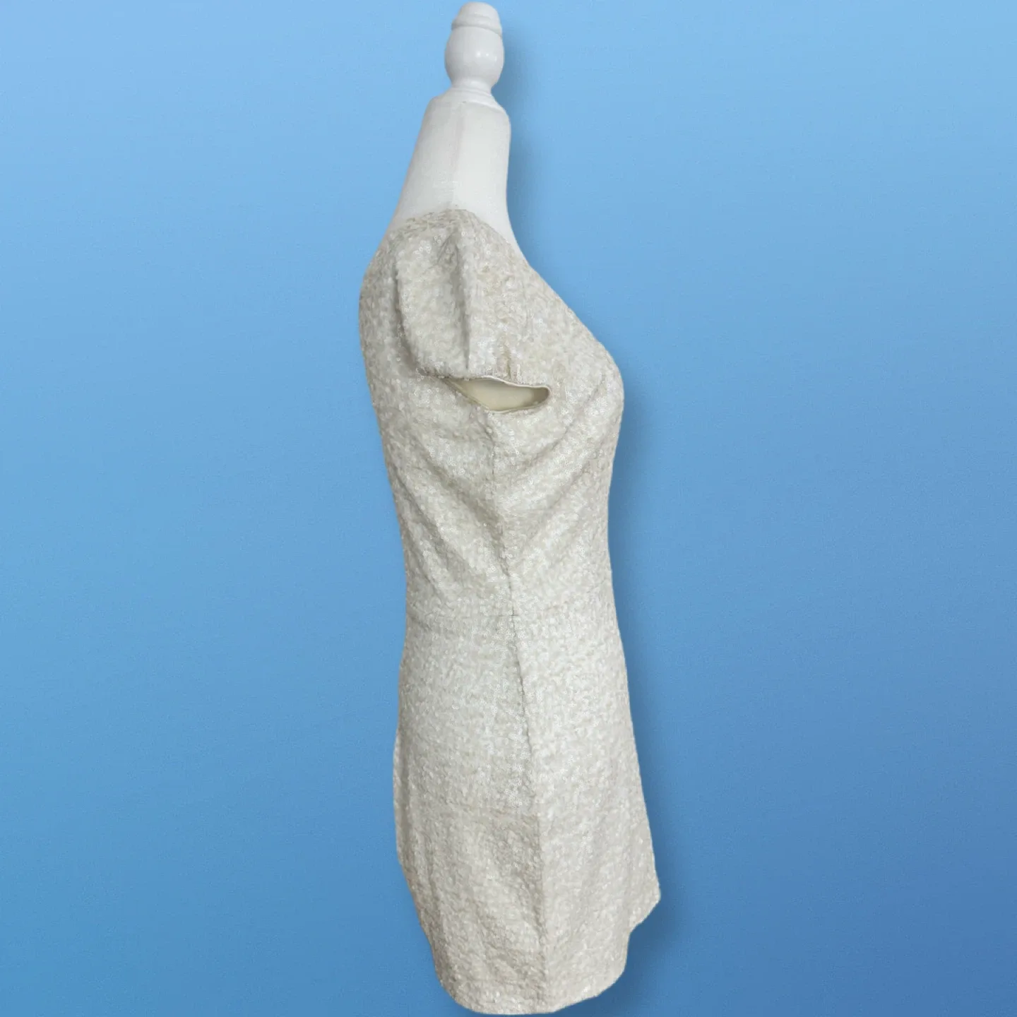 New With Tags! Sequin Plunging V Dress | Size L image indicator(4)