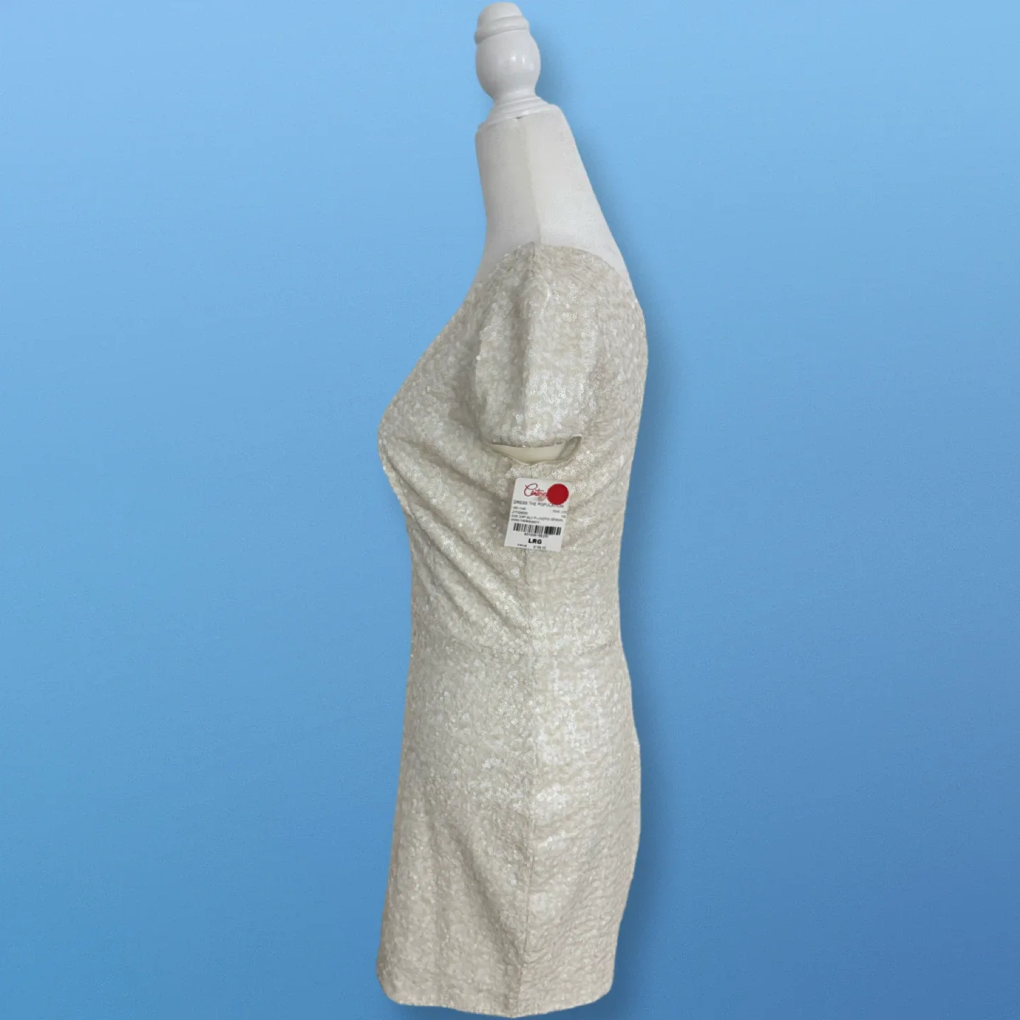 New With Tags! Sequin Plunging V Dress | Size L image indicator(6)