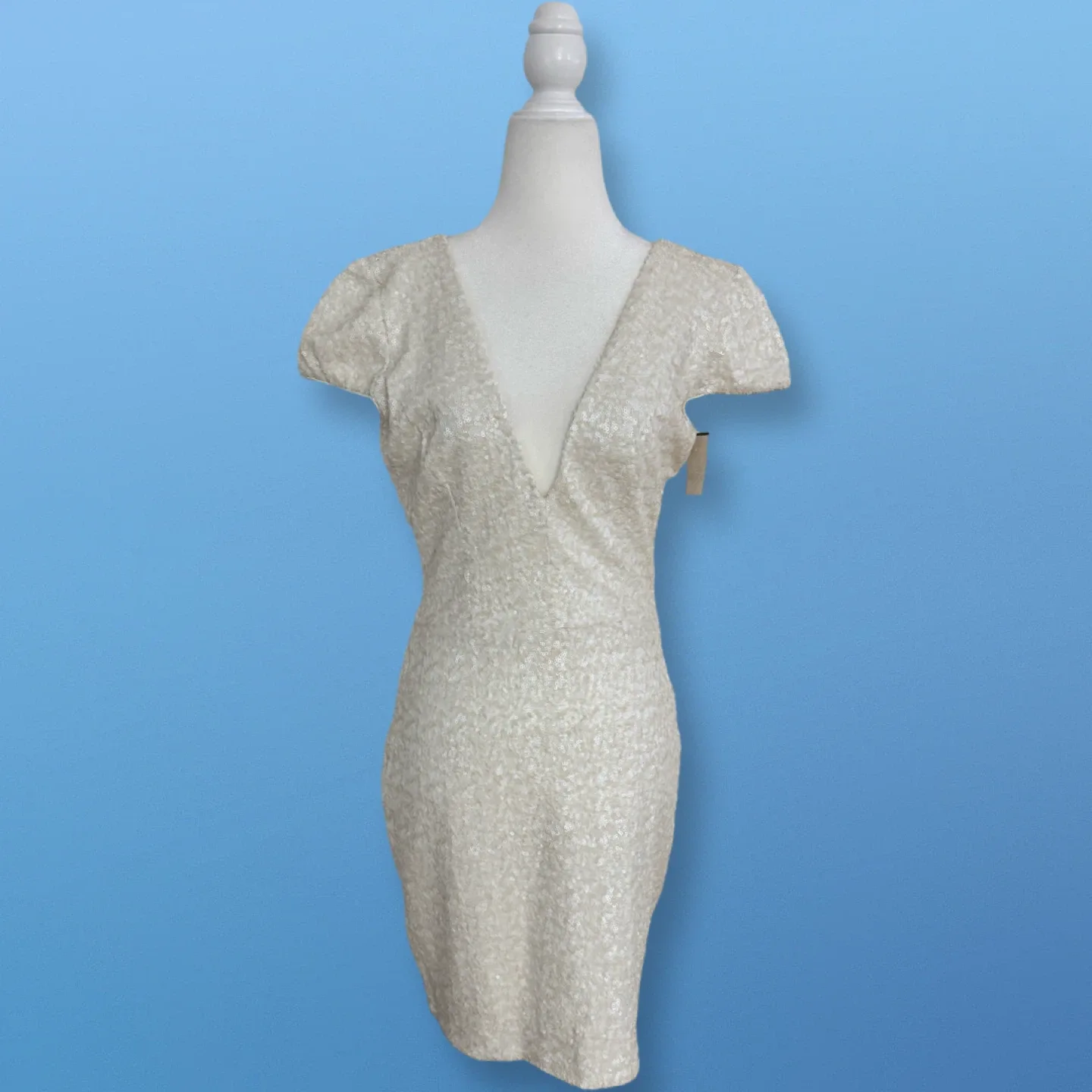 New With Tags! Sequin Plunging V Dress | Size L image indicator(2)