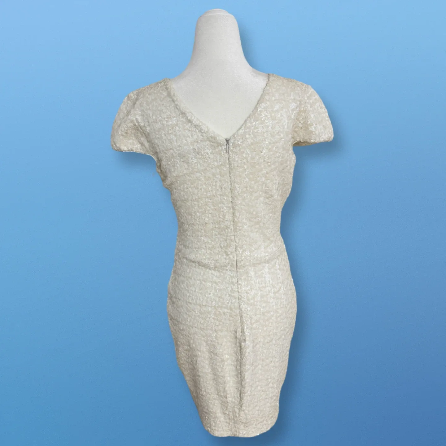 New With Tags! Sequin Plunging V Dress | Size L image indicator(5)