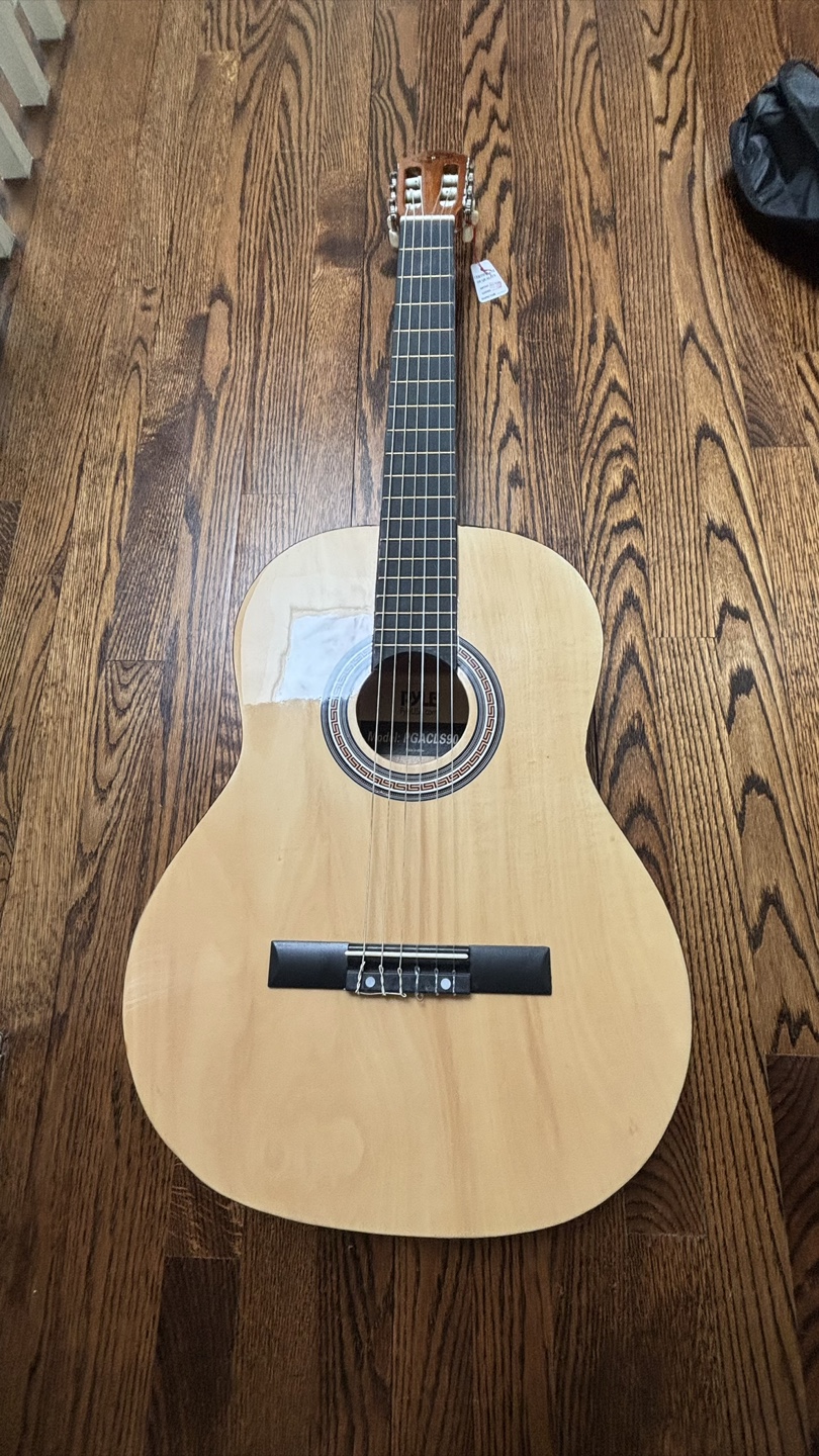 Pyle Acoustic Guitar with Case