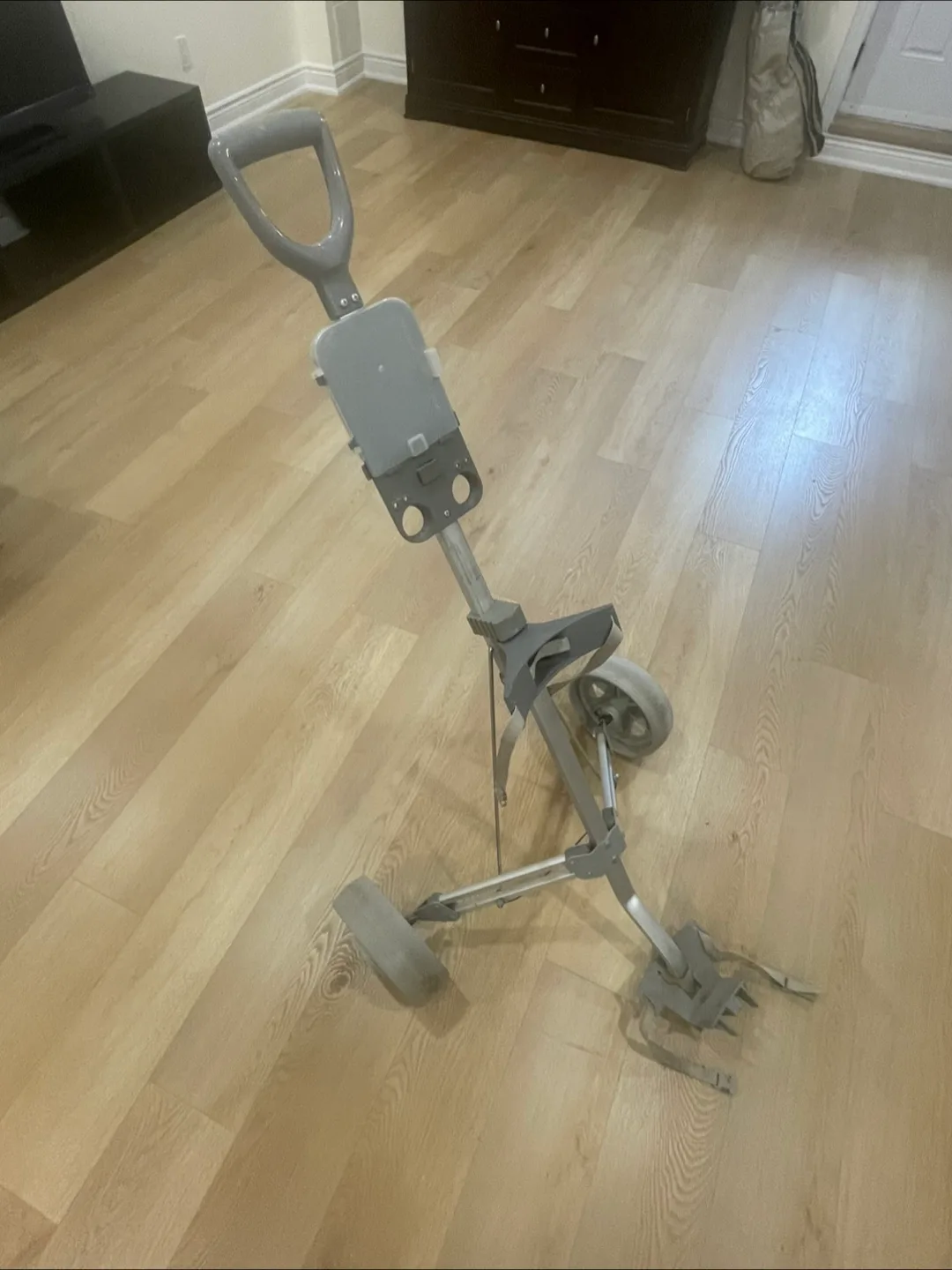 Golf Push Cart thumbnail