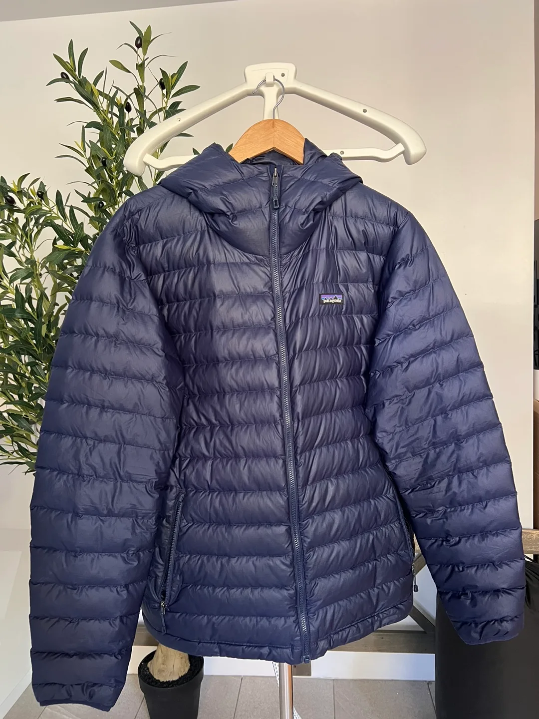 Patagonia Down Puffer winter jacket (L) thumbnail