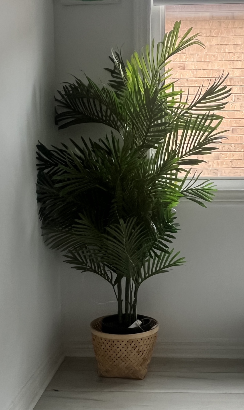 Faux Palm Tree in Woven Pot