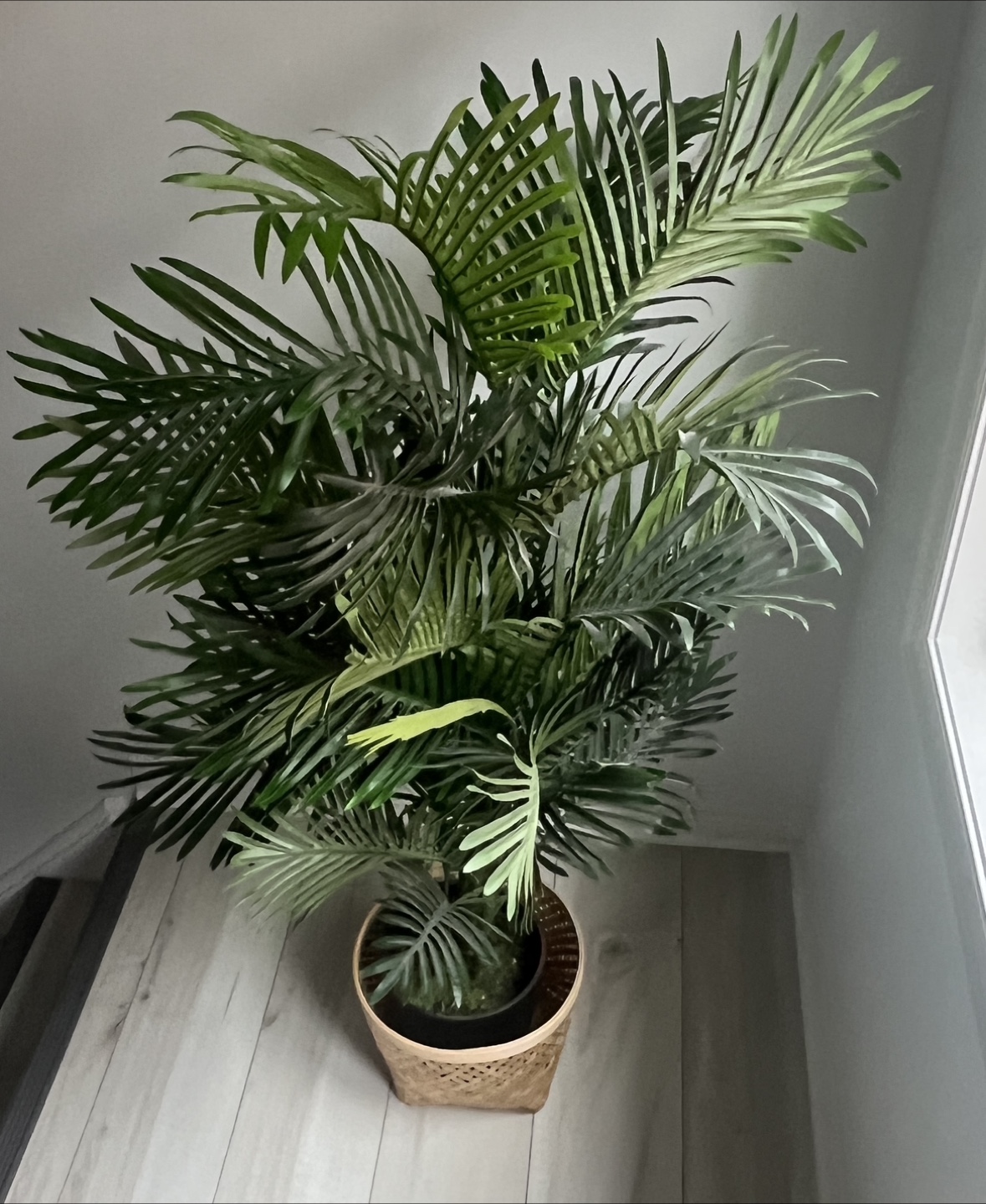 Faux Palm Tree in Woven Pot - photo 2