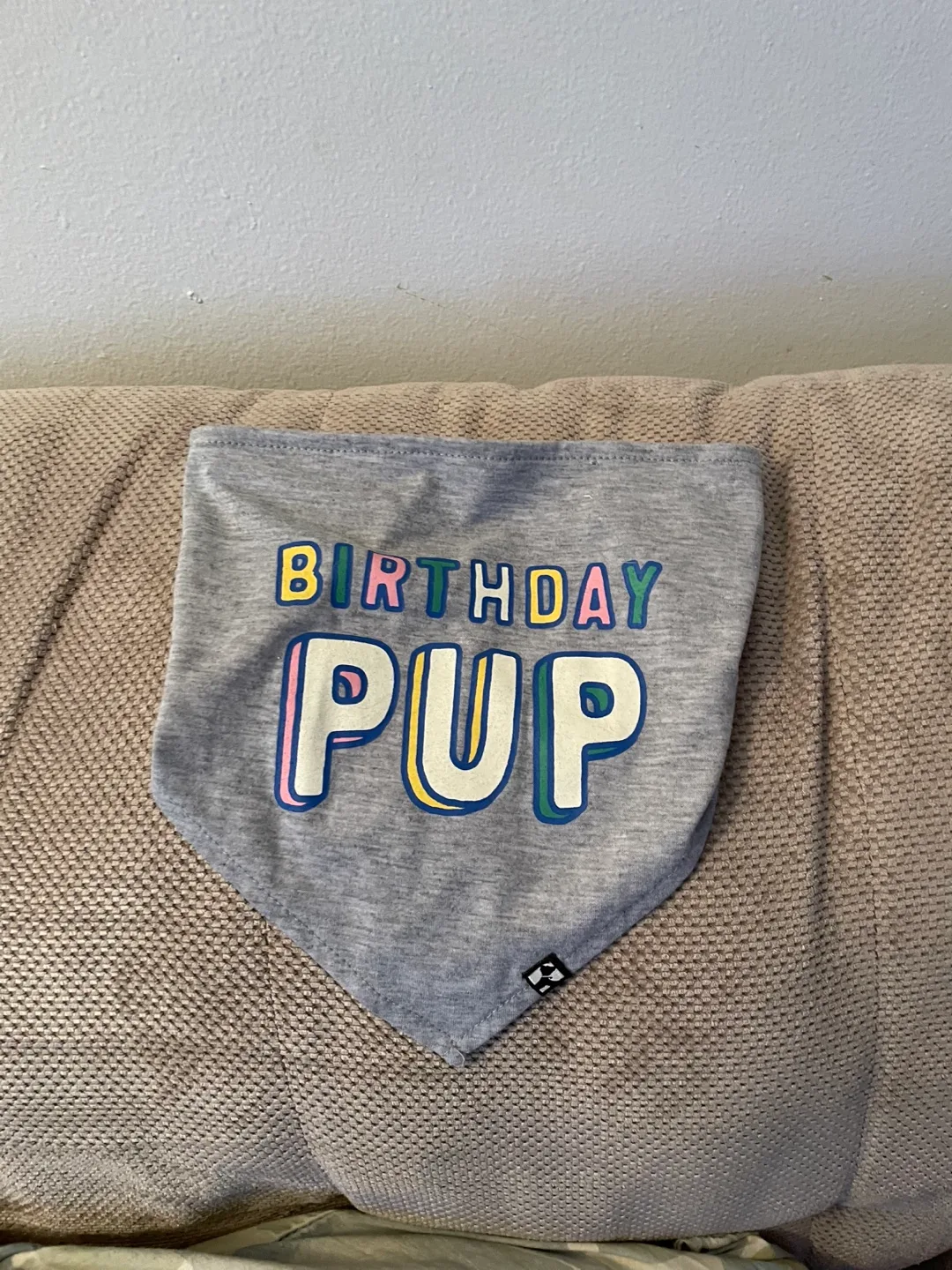 Birthday Pup Bandana thumbnail