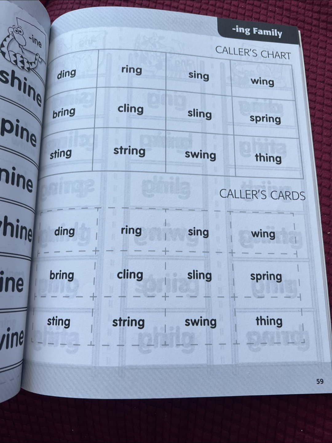 Scholastic Word Family Bingo Ladders Book - photo 2
