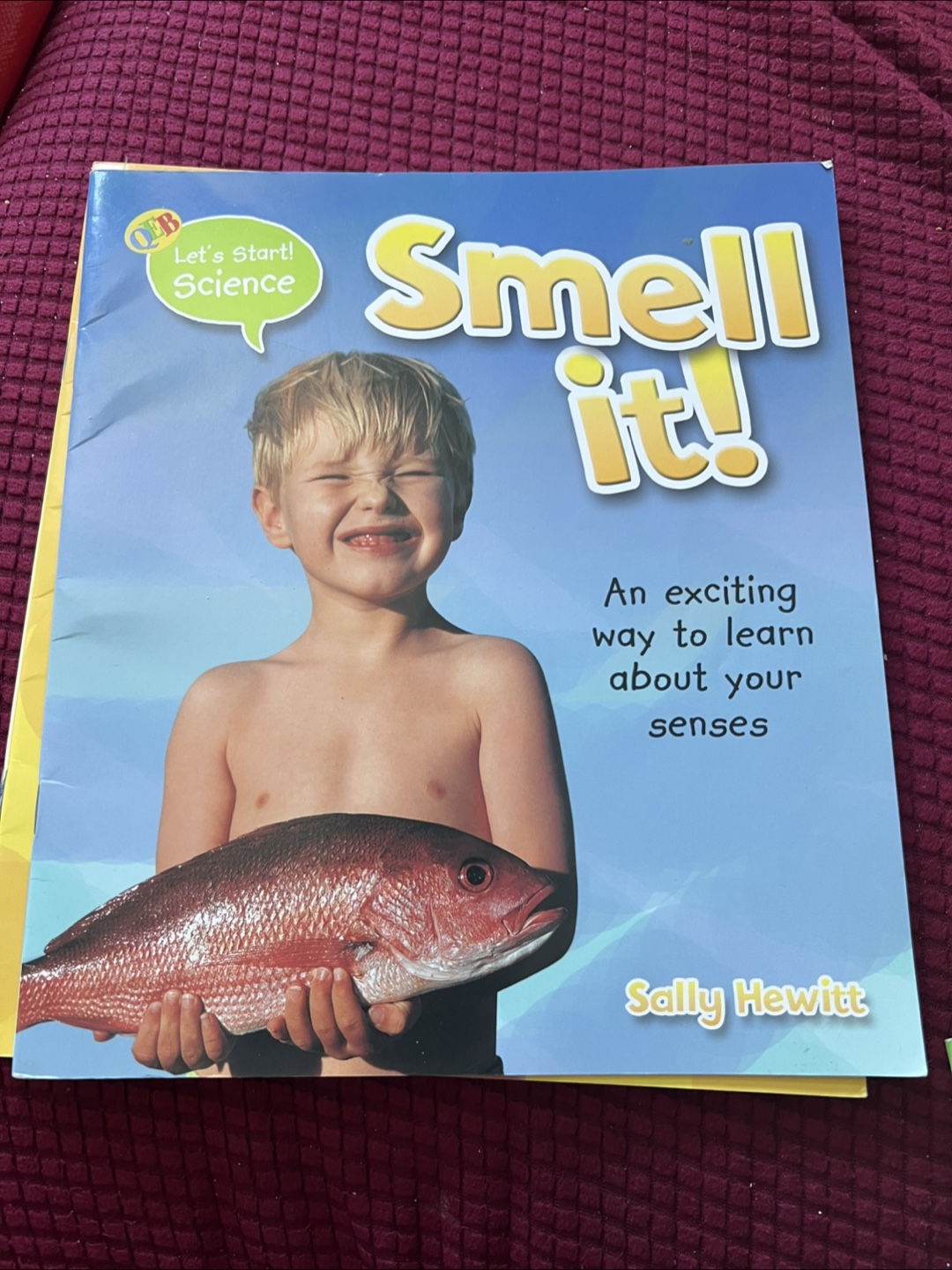 Let's Start! Science Book Set by Sally Hewitt - photo 2