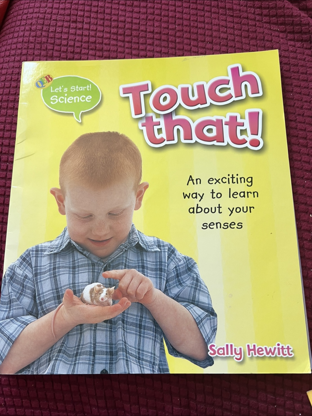 Let's Start! Science Book Set by Sally Hewitt - photo 4