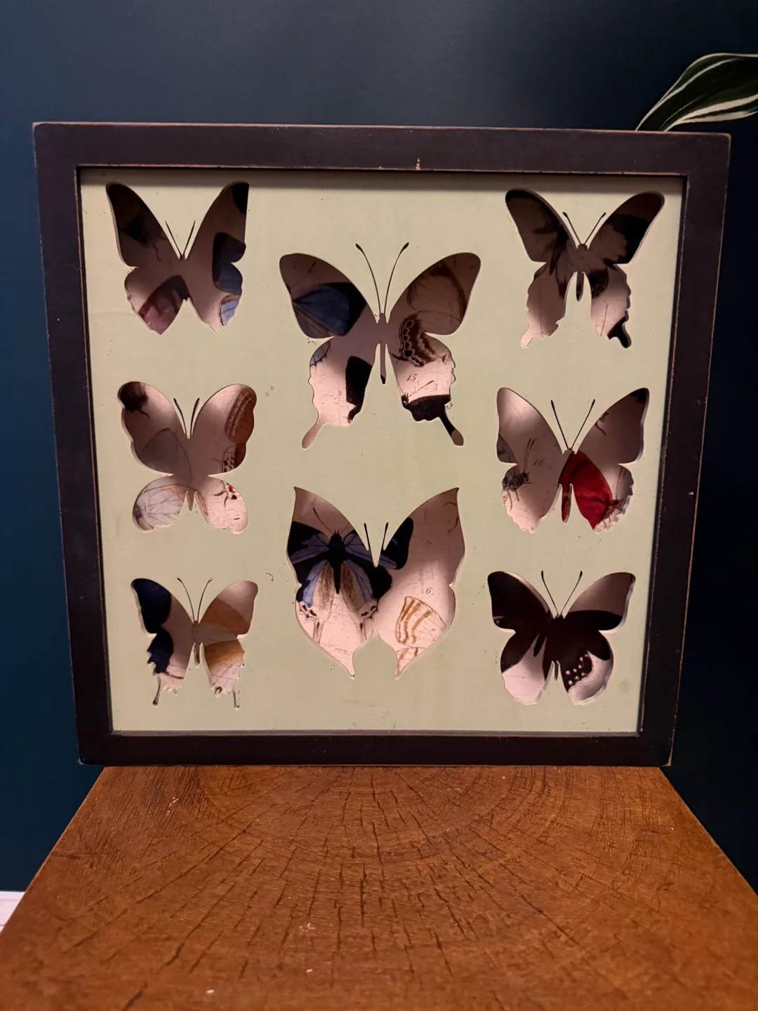 Butterfly Shadowbox Art thumbnail