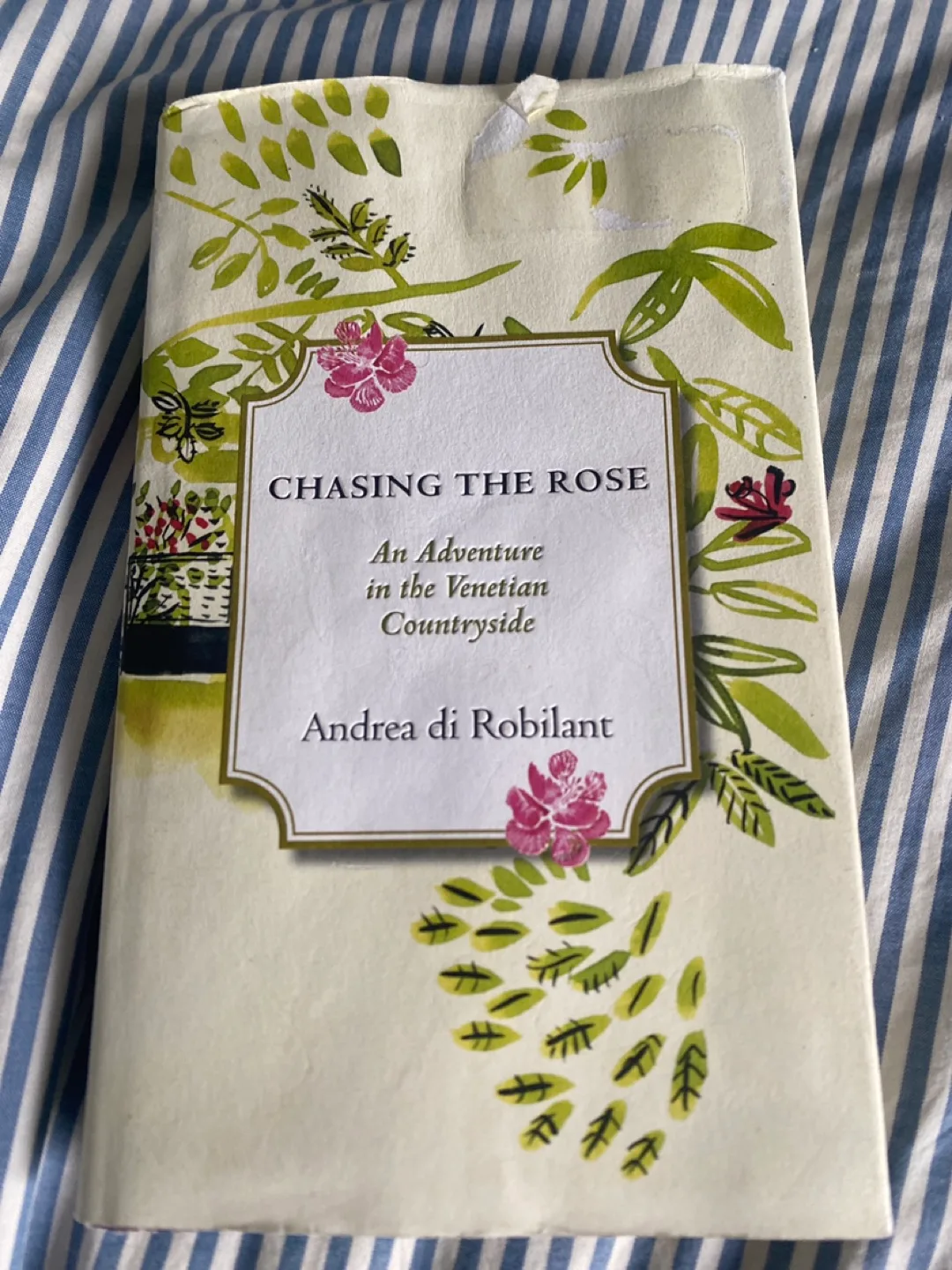 Chasing the Rose by Andrea di Robilant thumbnail