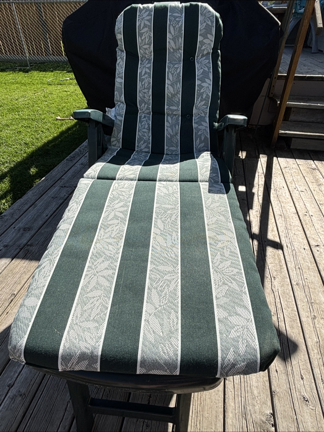 Outdoor Chaise Lounge Chair with Cushion