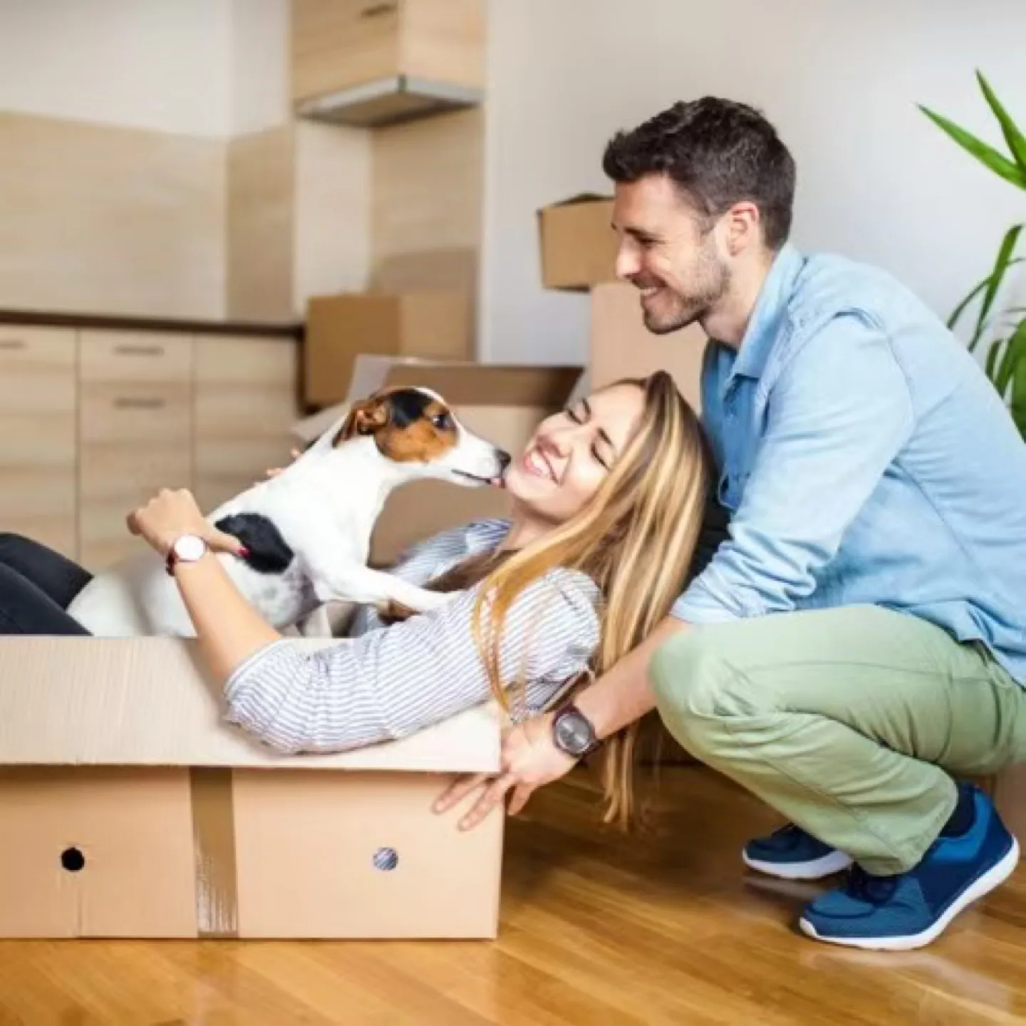 New 42-Black Tall Dog Playpen Crate Fence Pet Kennel image indicator(4)