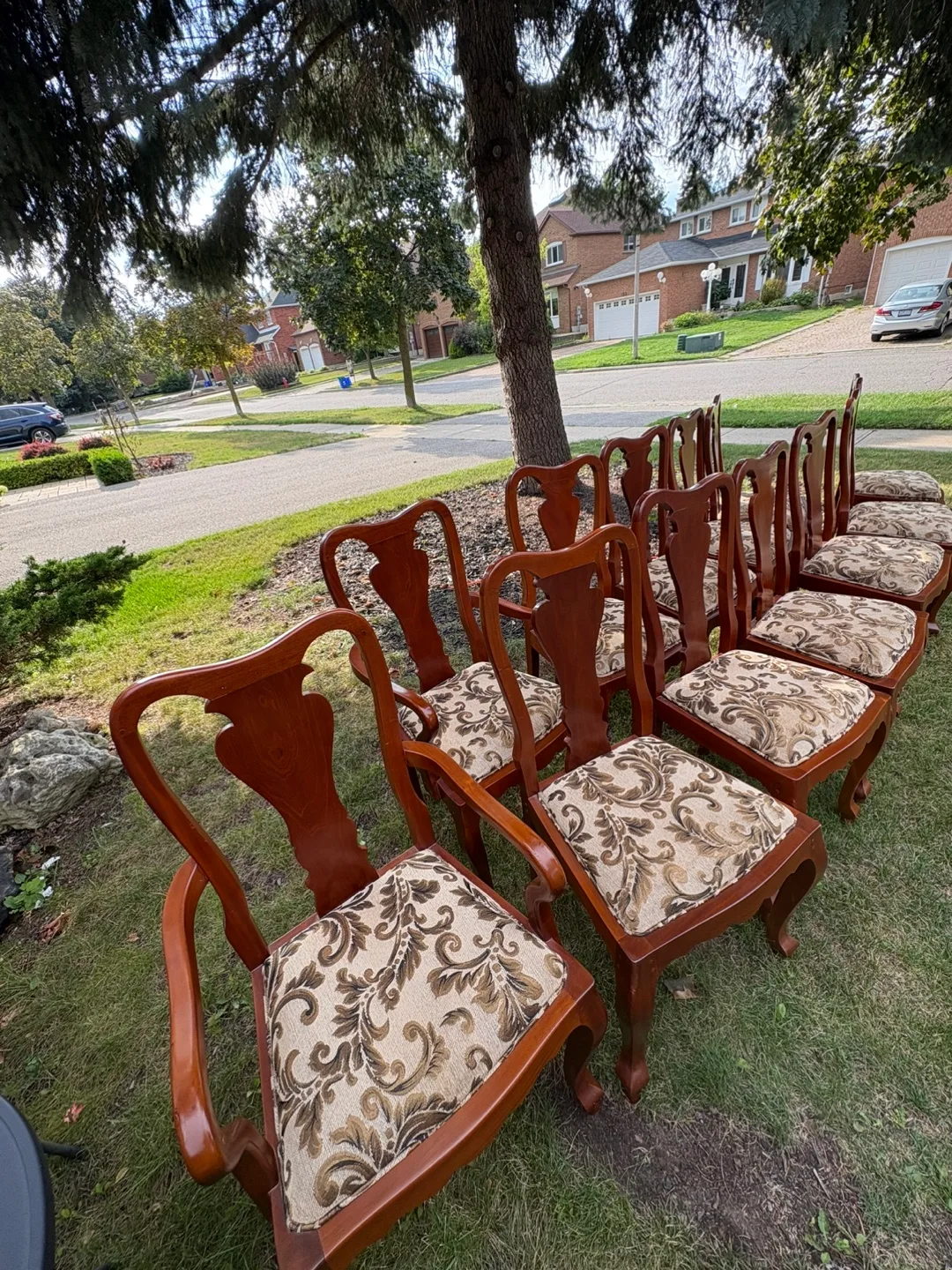 Set of 12 Wooden Dining Chairs thumbnail