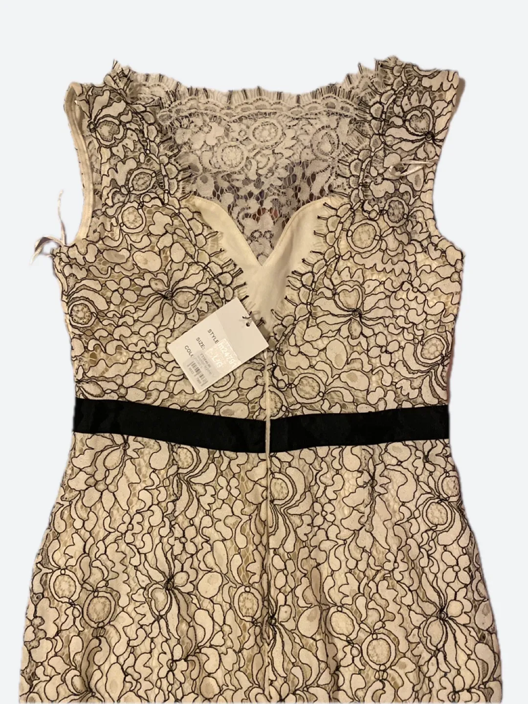 Adrianna Papell Lace Gown - Size 6 thumbnail
