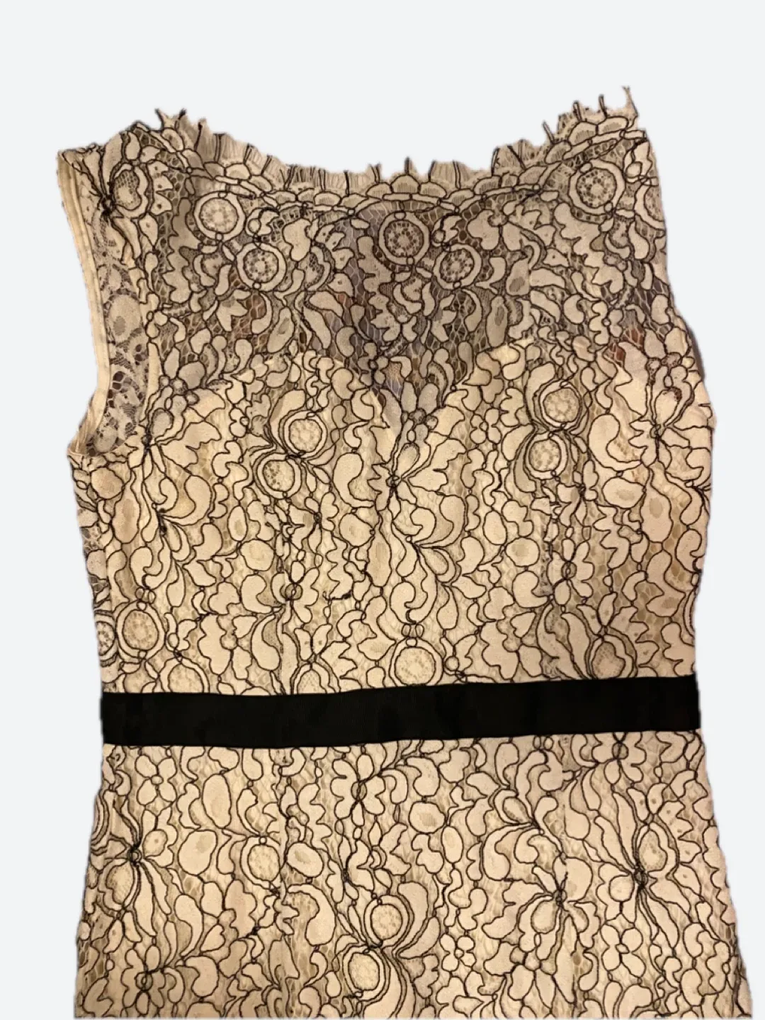 Adrianna Papell Lace Gown - Size 6 image indicator(3)