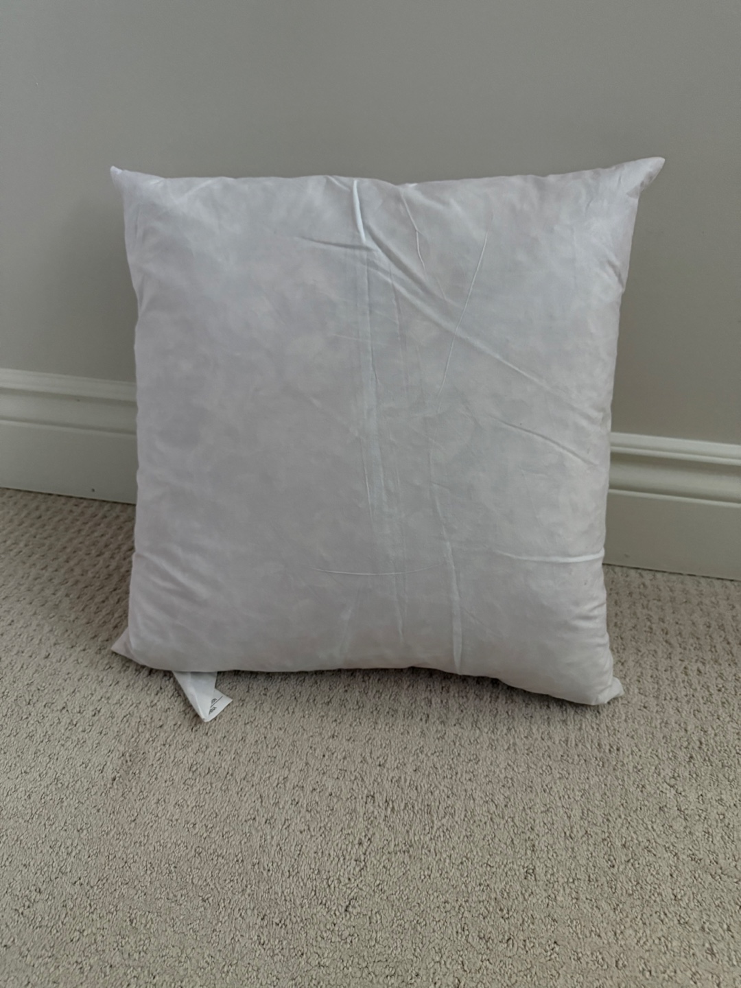 Square down-filled accent cushion