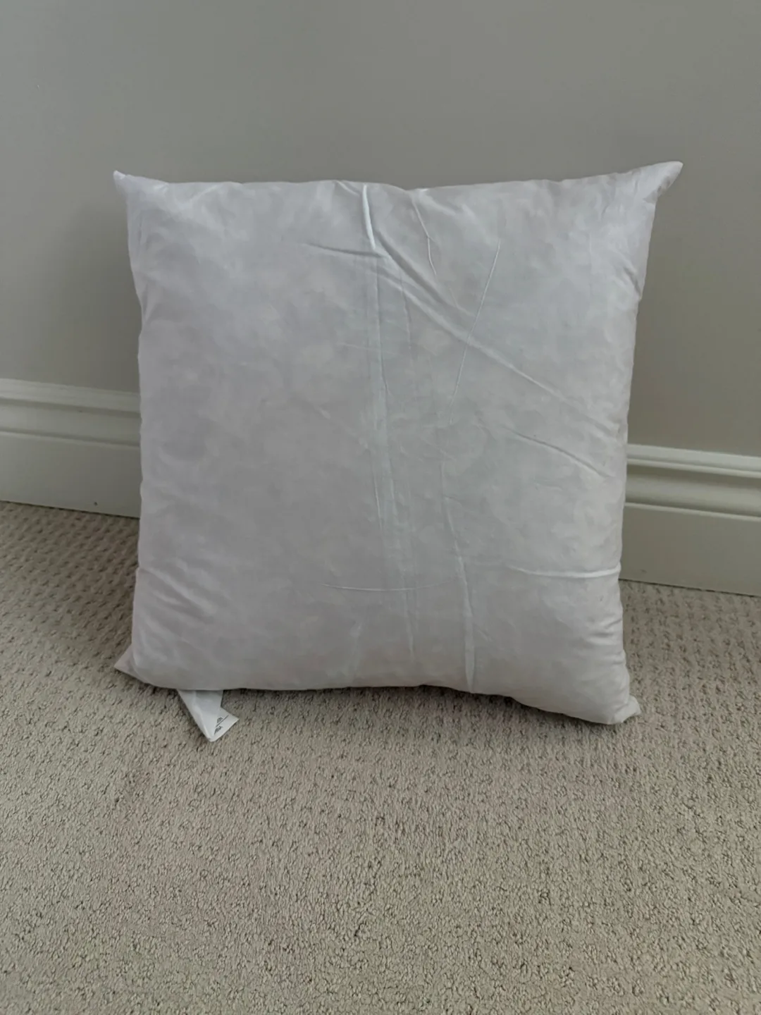 Square down-filled accent cushion thumbnail
