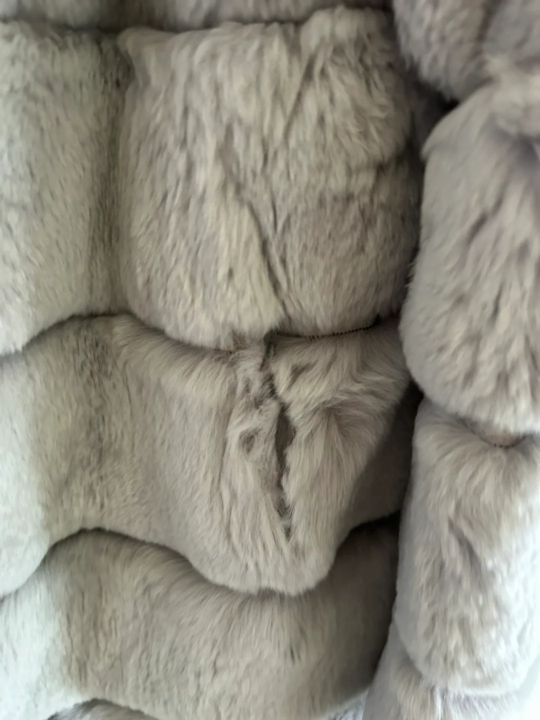 Grey Fur Coat image indicator(6)