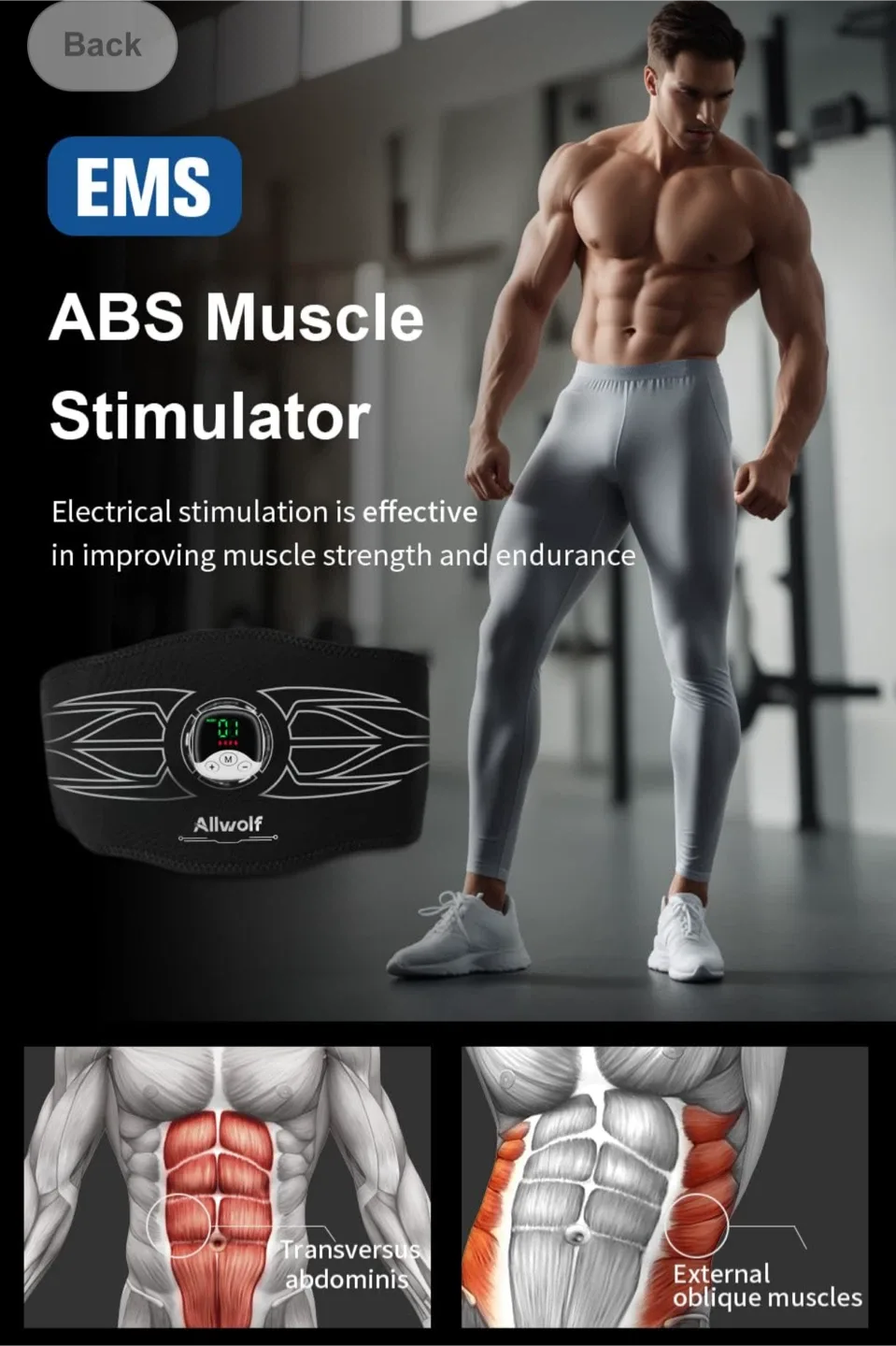 Allwolf EMS ABS Muscle Stimulator image indicator(3)