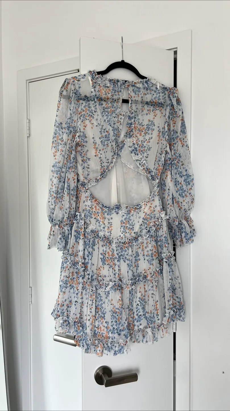 Saints + Secrets Open Back Dress - size medium image indicator(4)