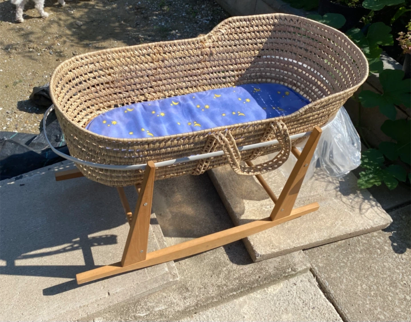 Baby Bassinet with Rocking Stand