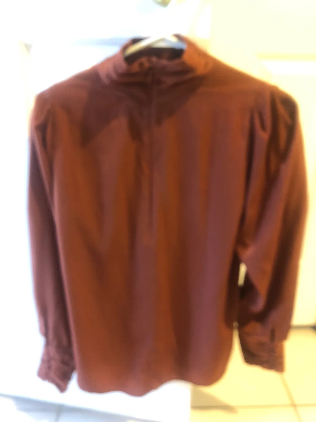 RW&CO XS Brown/Rusty colour Blouse image indicator(2)