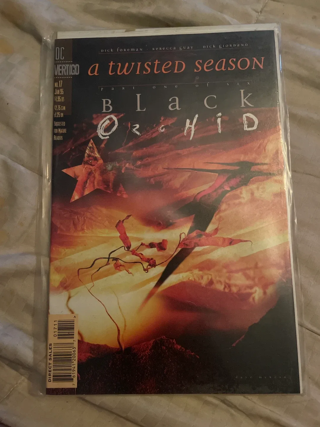 Black Orchid Comic Book - Vertigo #17 thumbnail