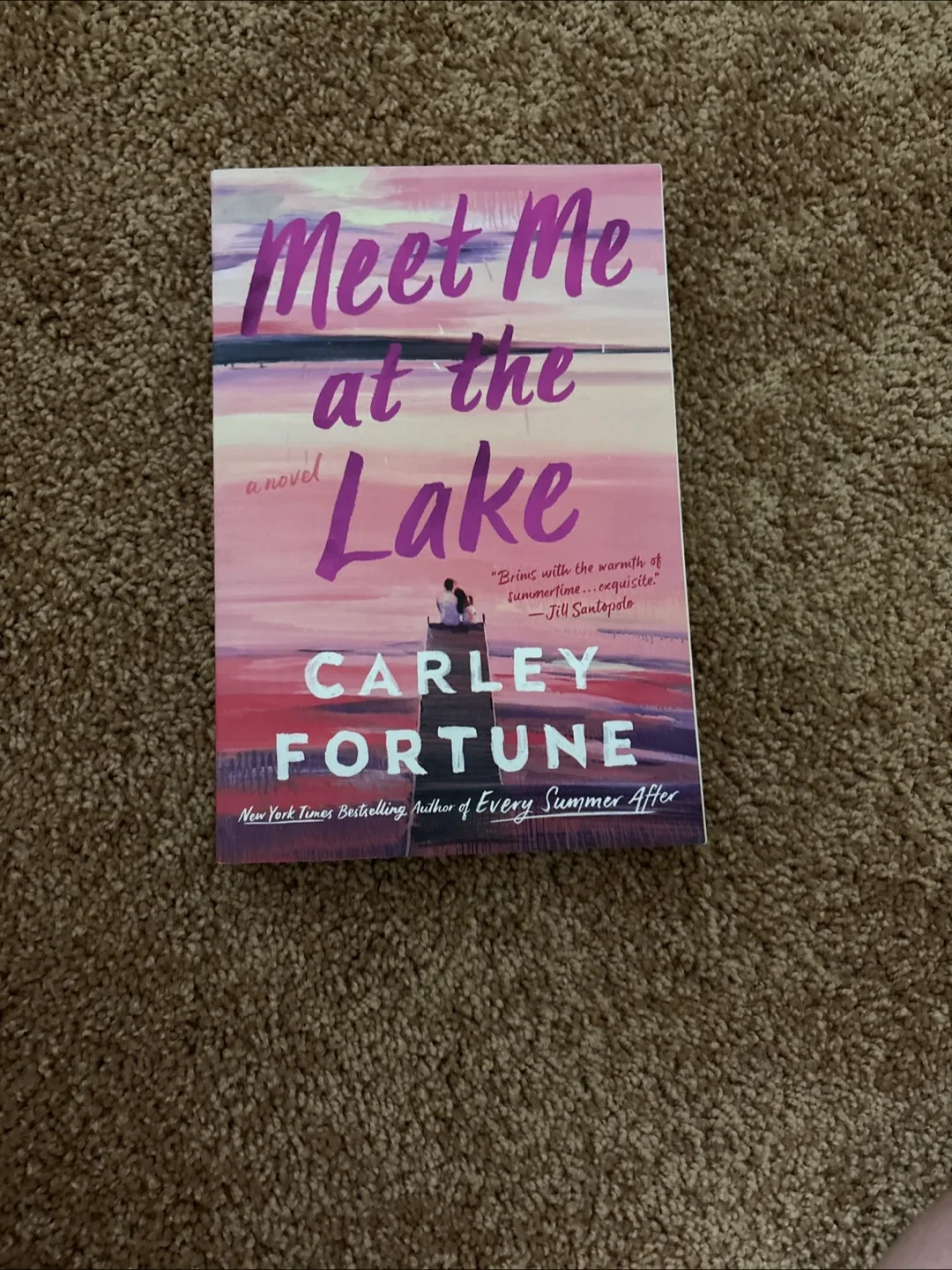 Meet Me at the Lake by Carley Fortune thumbnail
