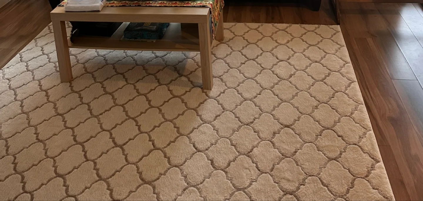 Area Rug - Beige Patterned image indicator(2)