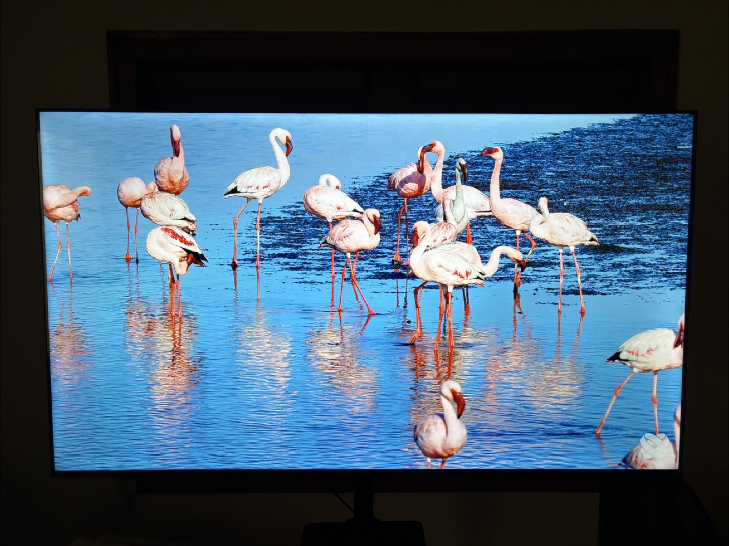 65in 4K Roku TV - photo 4