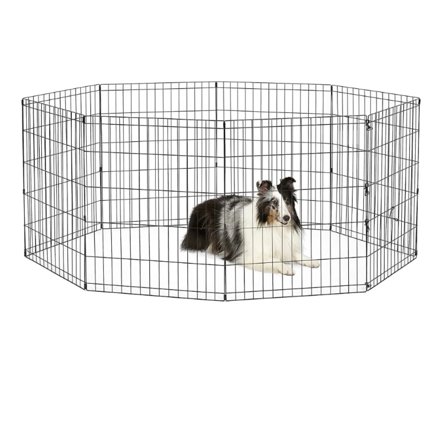 Exercise Pen for Dog. Free delivery thumbnail