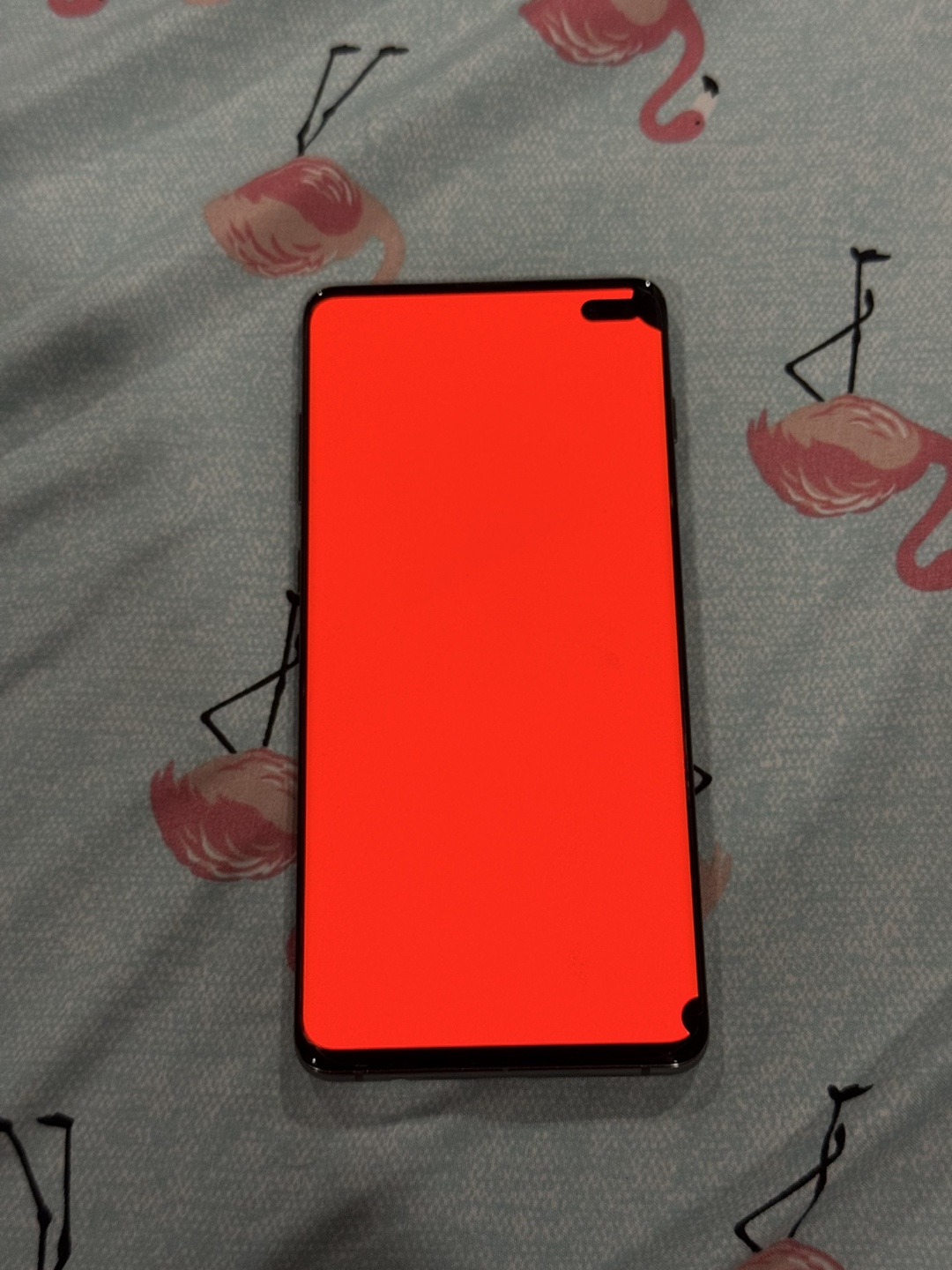 Samsung Galaxy S10+ - photo 3