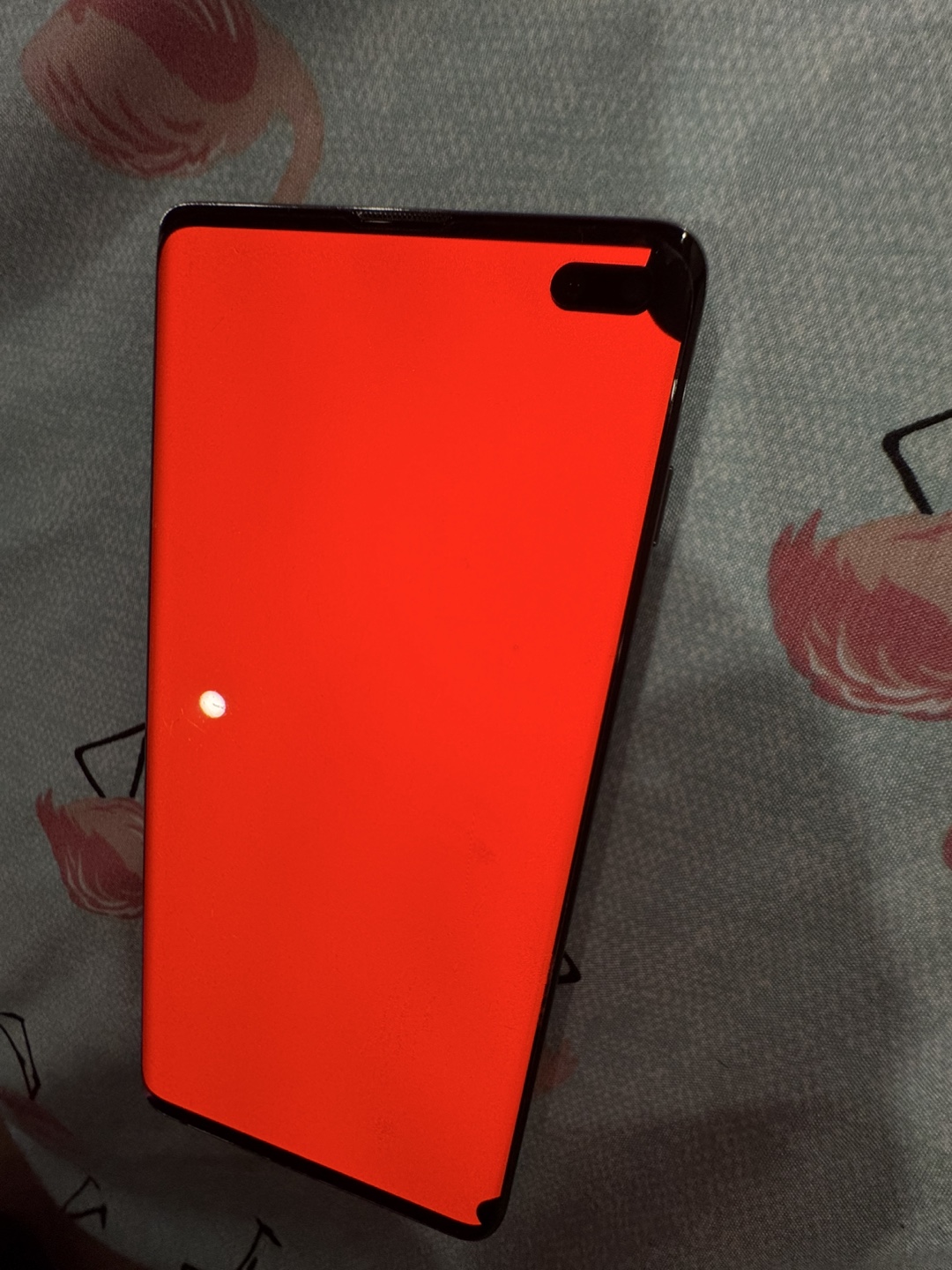 Samsung Galaxy S10+ - photo 4